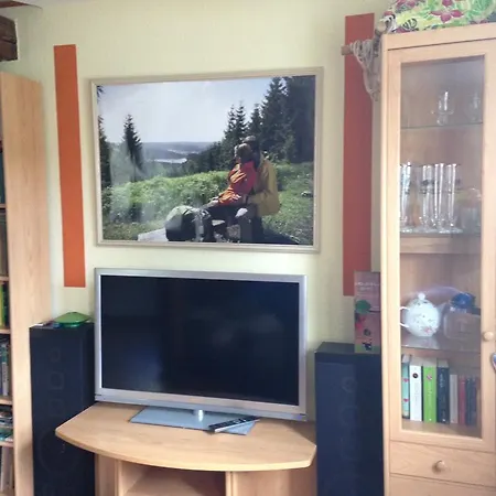 Haus Rennsteigrose Lejlighed *