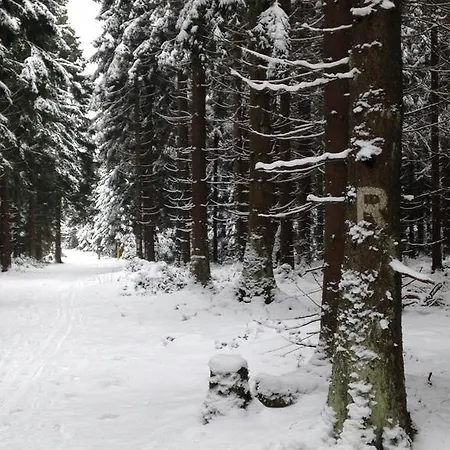 Lejlighed Haus Rennsteigrose Steinheid