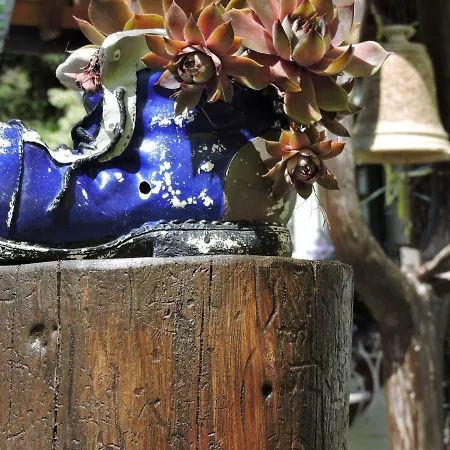 Апартаменты Haus Rennsteigrose Steinheid