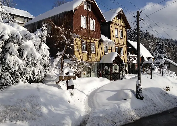 Lejlighed Haus Rennsteigrose *