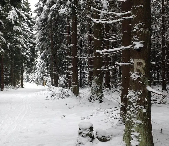 Lejlighed Haus Rennsteigrose Steinheid